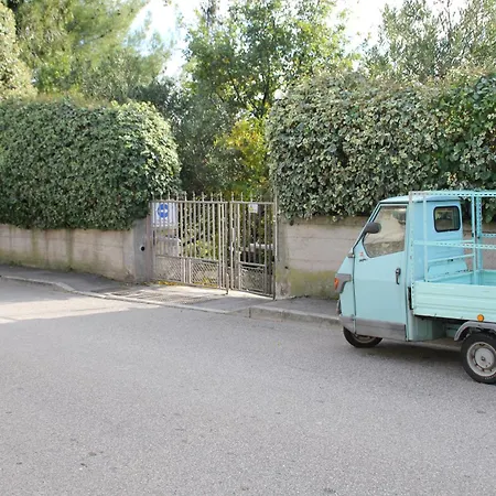 Il Gelsomino *