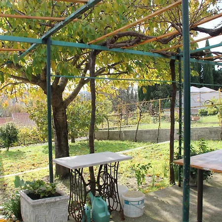 Il Gelsomino Trieste