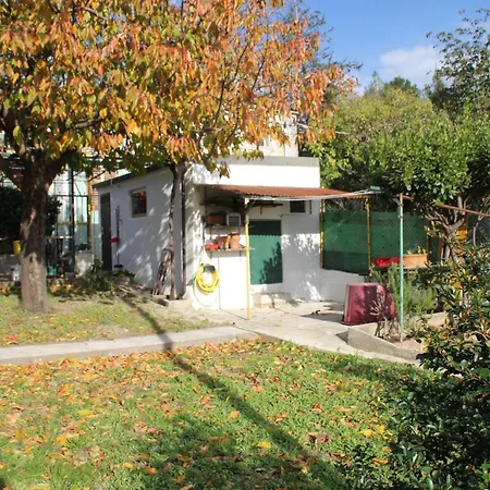 Il Gelsomino Trieste