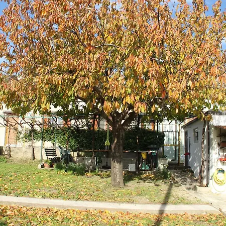 Il Gelsomino Holiday home