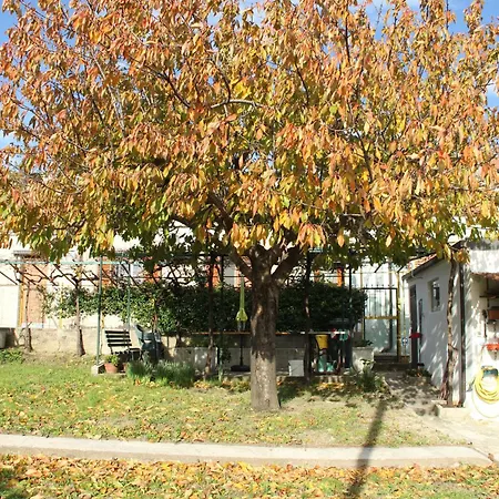 Il Gelsomino Trieste