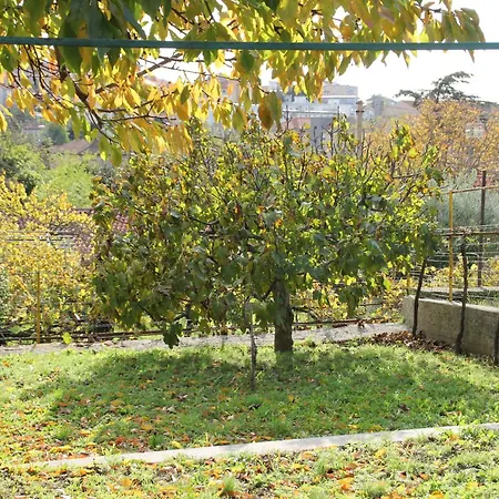 Il Gelsomino Holiday home